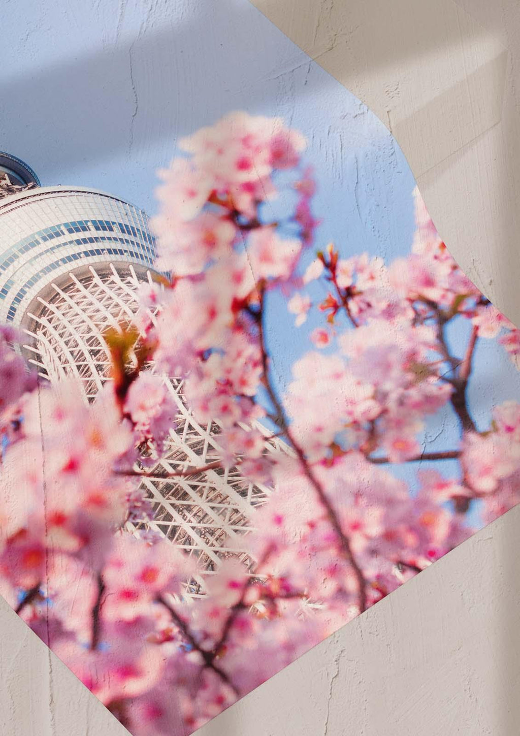 Сакура и небето на Токио (50х70см.)