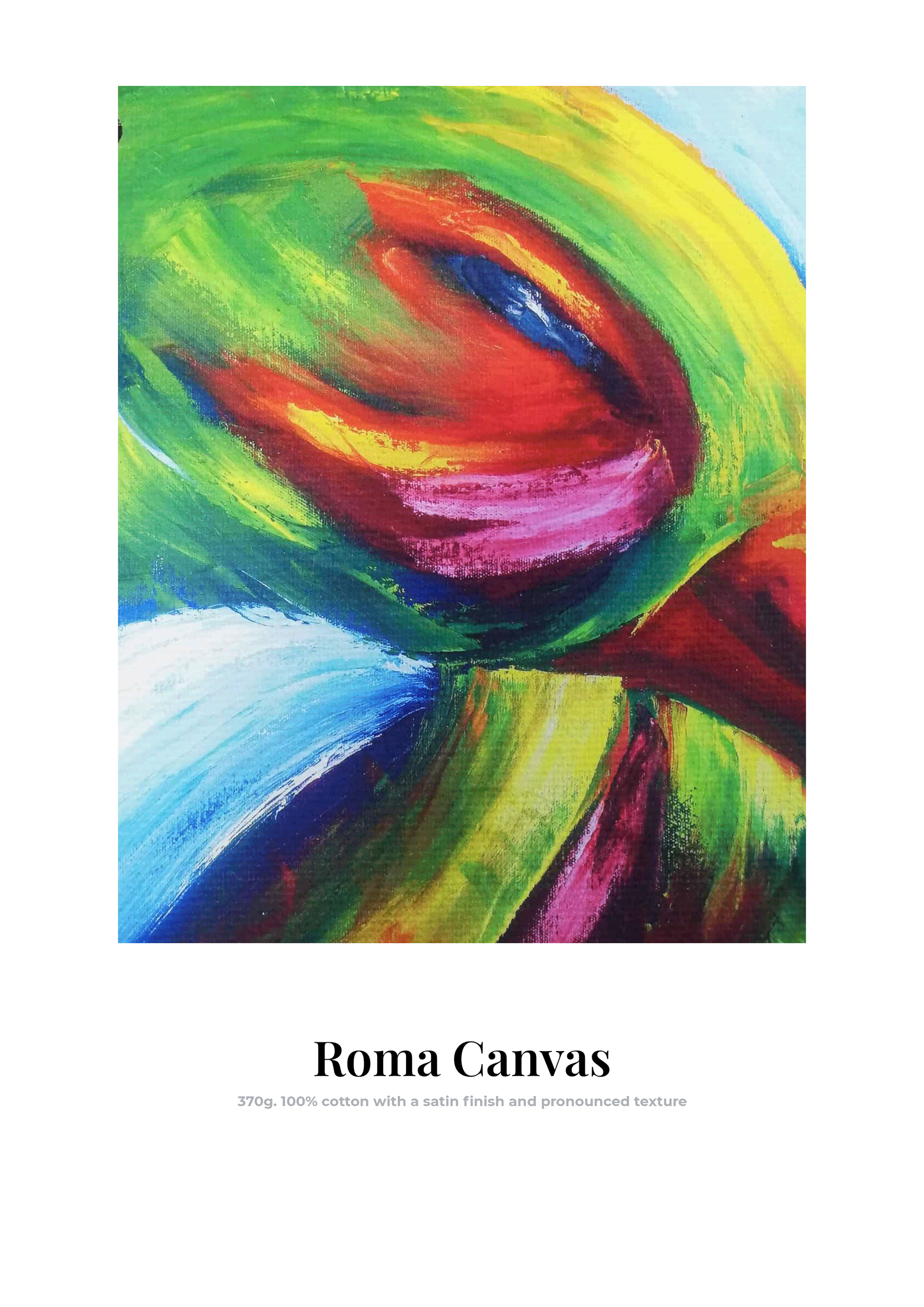Roma Canvas + каса