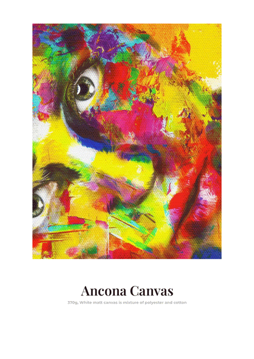 Ancona Canvas + каса