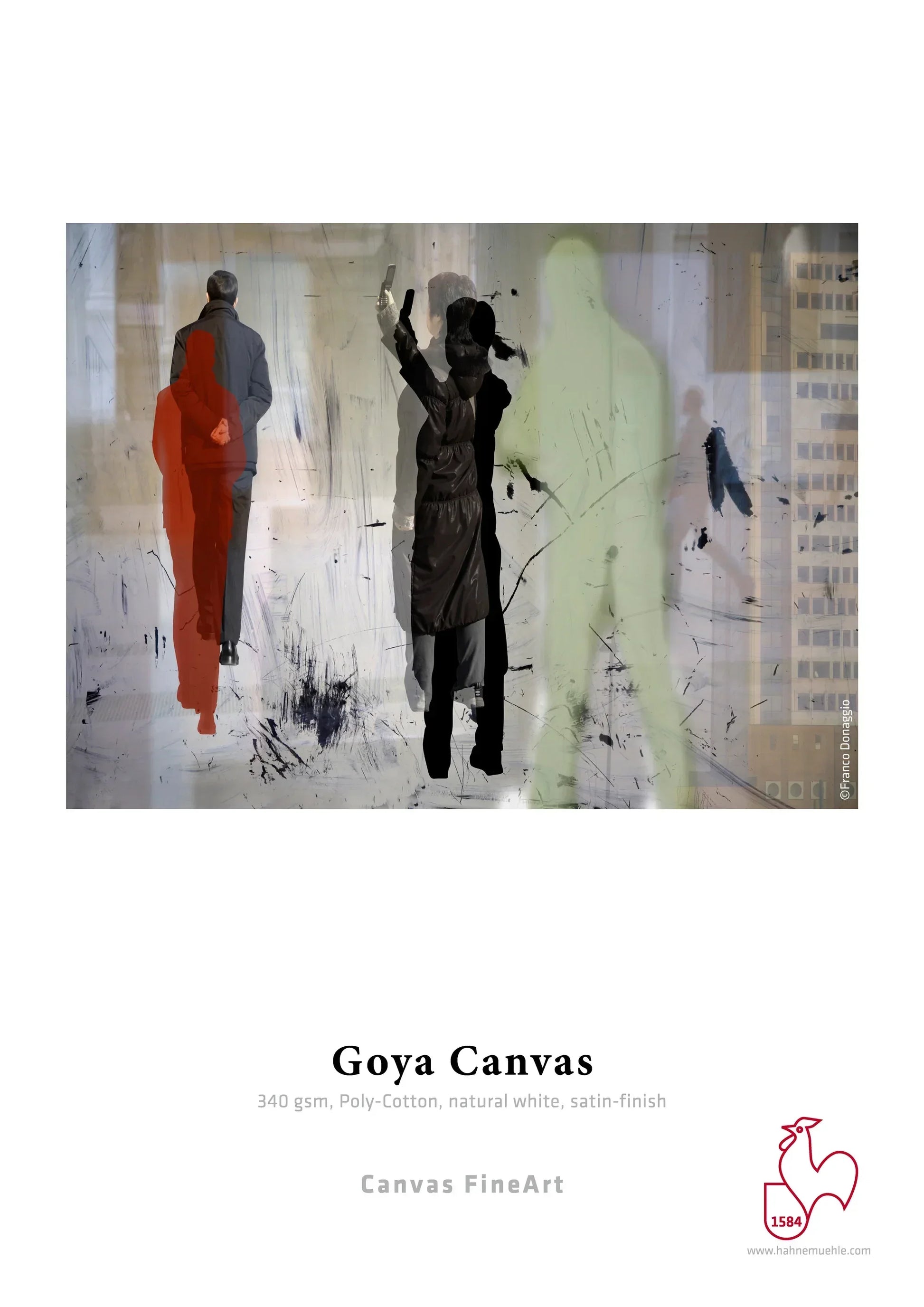 Hahnemühle Goya Canvas + каса