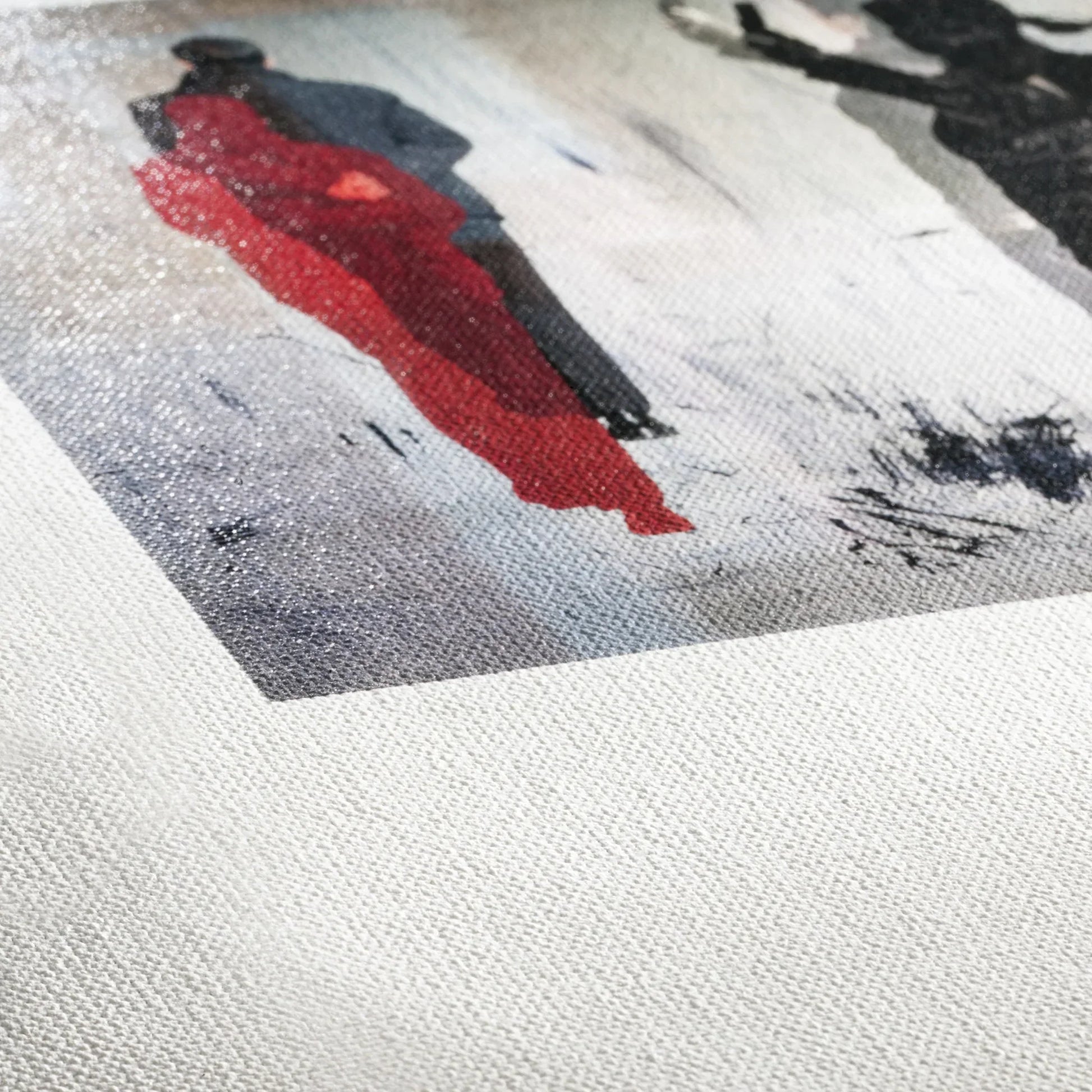 Hahnemühle Goya Canvas + каса